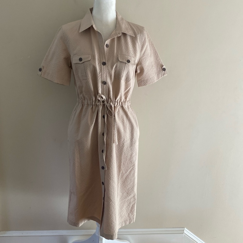 Appleseeds Poly Rayon Career Dress